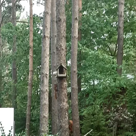 Domek Letniskowy Ania Holiday home Pasym